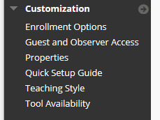 Select Customization, Teaching Style