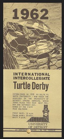 turtle_race1962
