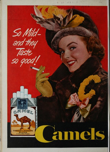 University of Detroit vs. Miami Program