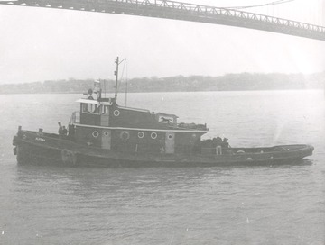 Alpena