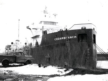 Cedarbranch
