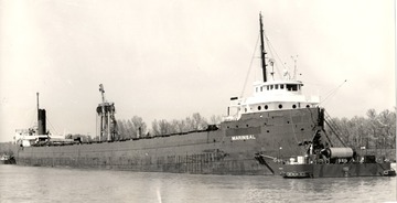 Marinsal