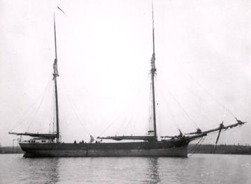William (Willie) Loutit