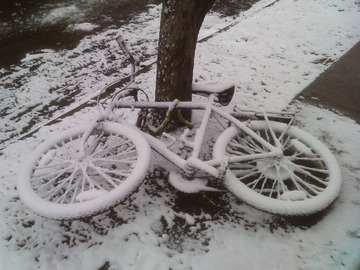 Bicycle. Detroit, February 2016 
