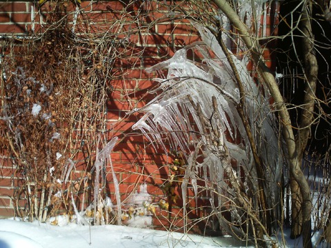 Cluster of Icicles. Detroit, February 2018 