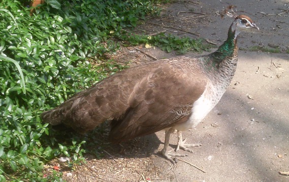 Tuesday. Detroit, May 2016 