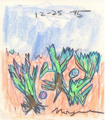 Shrubbery Antics 