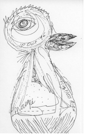 Maurice Greenia, Jr. Collections: flightless bird