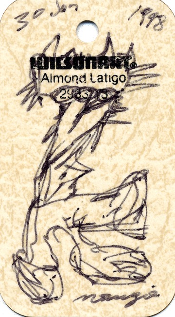 Maurice Greenia, Jr. Collections: Almond Latigo 