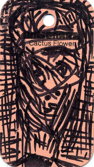 Cactus Flower
