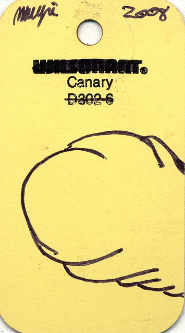 Maurice Greenia, Jr. Collections: Canary