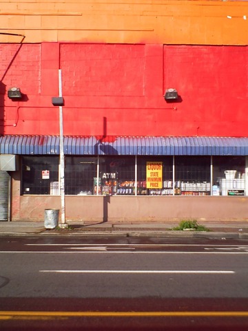 Party Store on Dexter. Detroit, 2015 