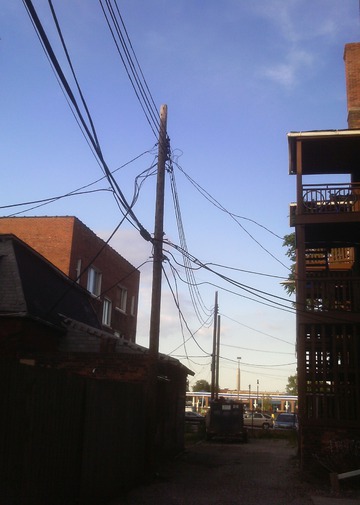 Wild Wires. Detroit, June 2016 