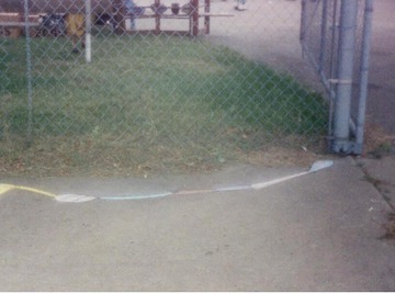 Snake by Fence 