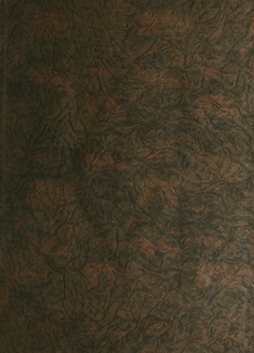 University of Detroit Yearbook Collection: The Tower 1927