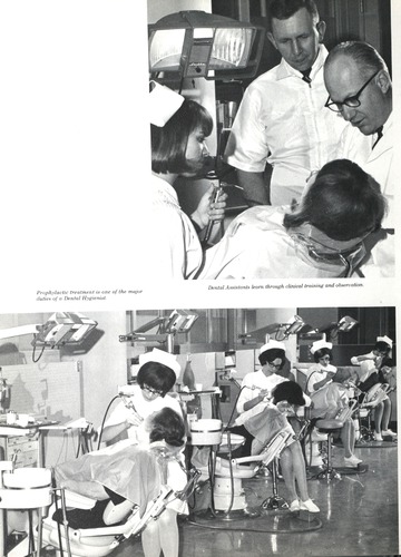 Tower '66