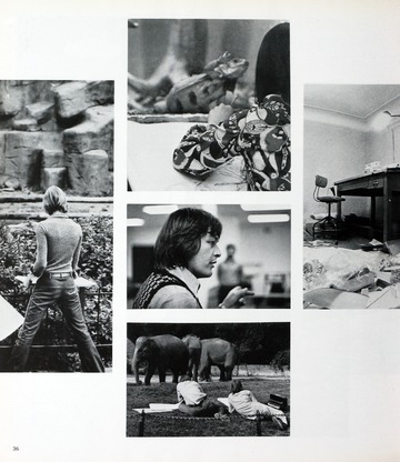 University in the Mist 1974