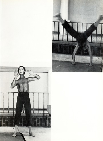 The Cutout 1980