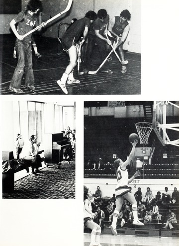 The Cutout 1980