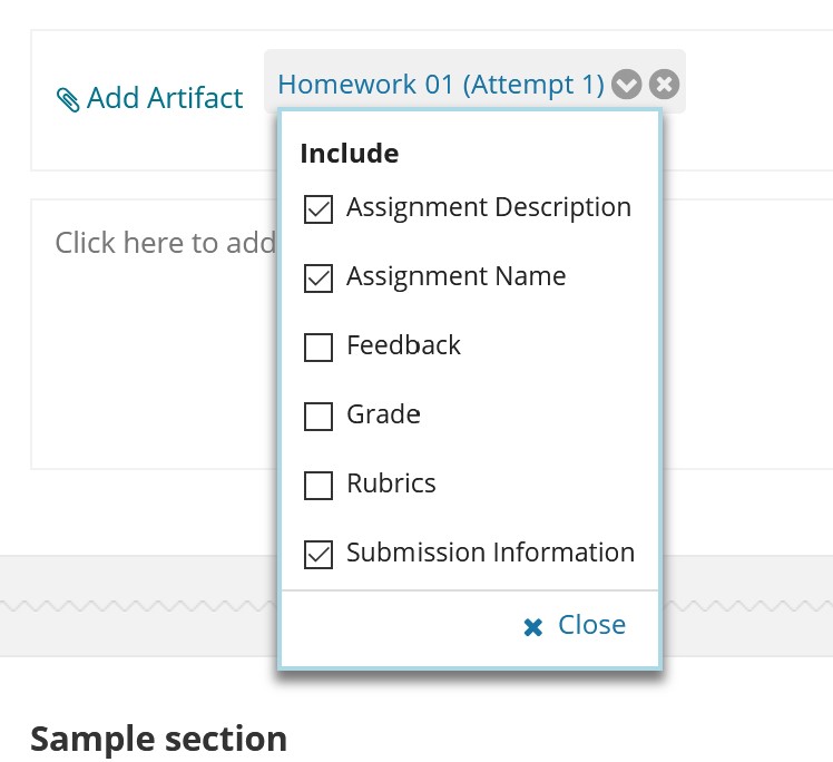 Image of checkboxes for what to include with assignment artifact