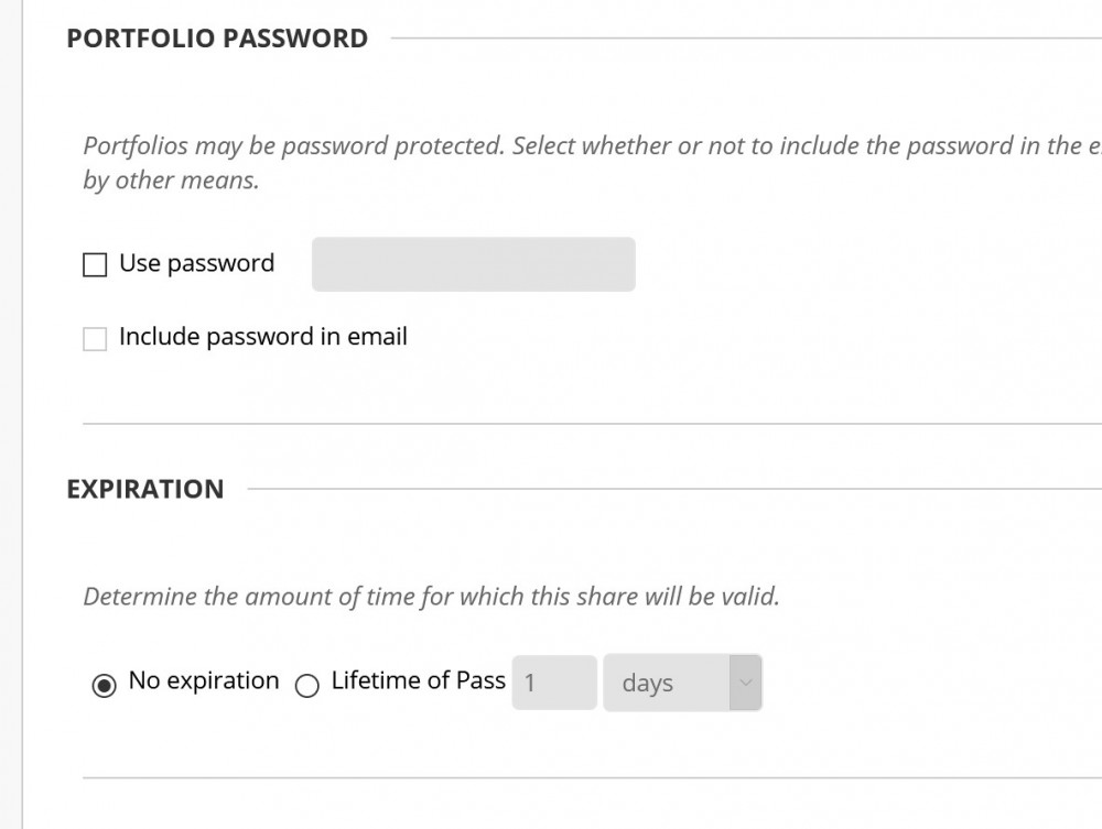 image of portfolio password and expiration options