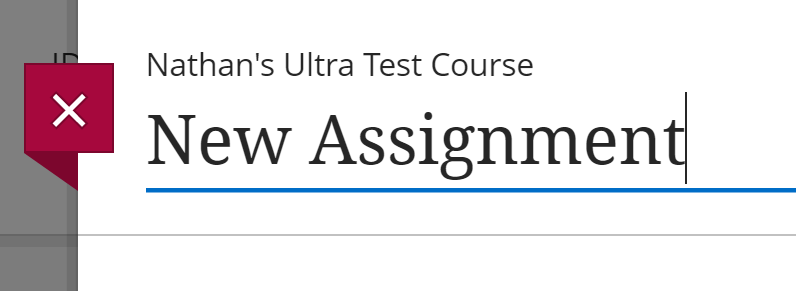 Assignment name field with a title entered