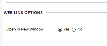 Image of option to open in a new window