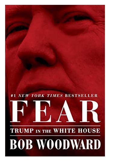 FearTrump in the white house