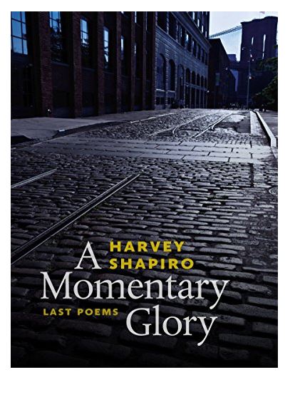 A momentary glory:last poems